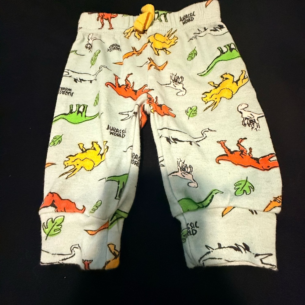 Kids Dinosaur Print Sweatpants